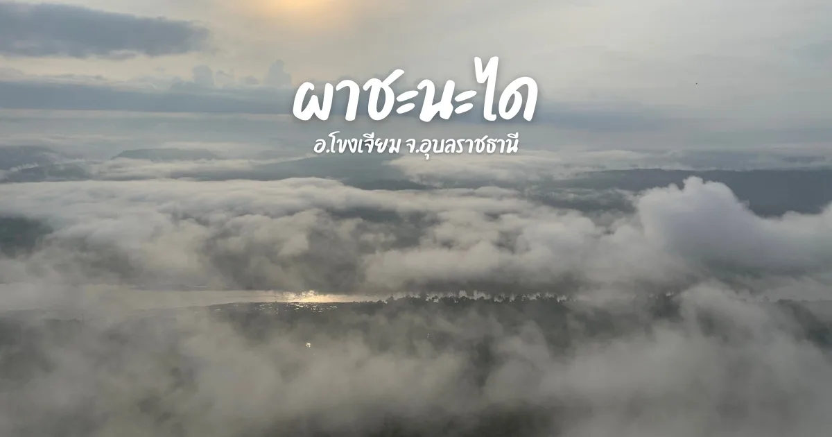 ผาชะนะได
